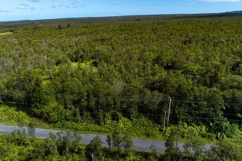 Kaleponi Dr, Volcano, HI 96785 photo 8