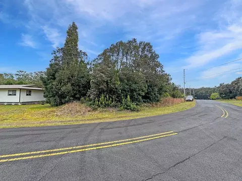 99-7724 Kilau Pl, Volcano, HI 96785