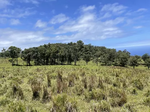 Kaalualu Rd, Naalehu, HI 96772