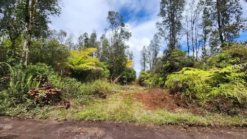 16-2011 Uau Rd, Mountain View, HI 96760