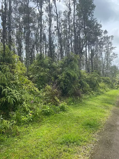 Molokai Rd, Pahoa, HI 96778