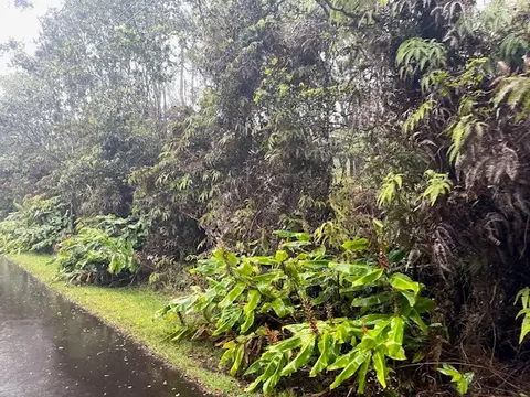 11-3802 11th St, Volcano, HI 96785