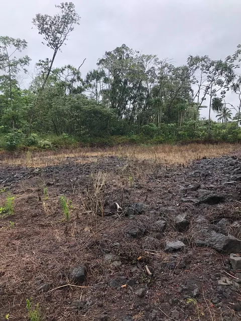 15-2790 S Moano St, Pahoa, HI 96778