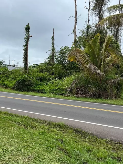 Ainaloa Blvd, Kurtistown, HI 96760