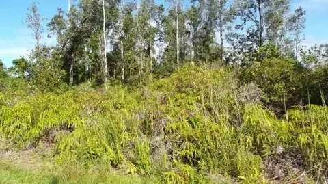Lilikoi Dr, Pahoa, HI 96778