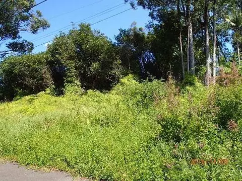 18-4152 Heno St, Volcano, HI 96785