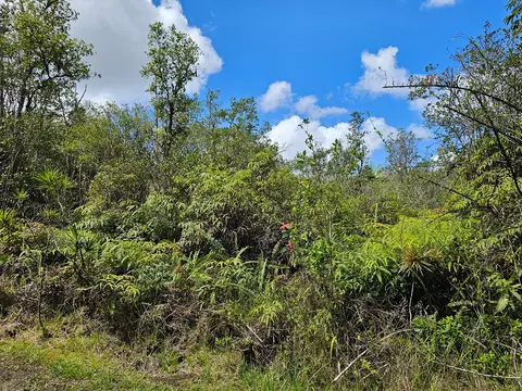 Road 10, Kurtistown, HI 96760