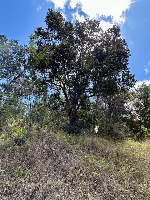 Hukilau Dr, Ocean View, HI 96737