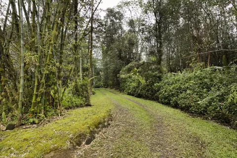 16-1520 Road 11, Kurtistown, HI 96760