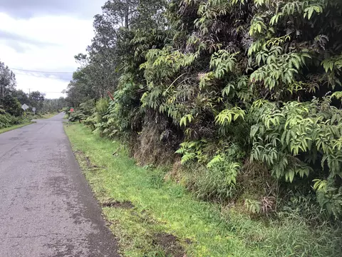 11-3355 Pa Alii St, Volcano, HI 96785