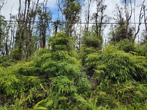Molokai Rd, Pahoa, HI 96778
