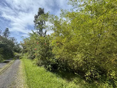 16-1217 Pulelehua Rd, Kurtistown, HI 96760