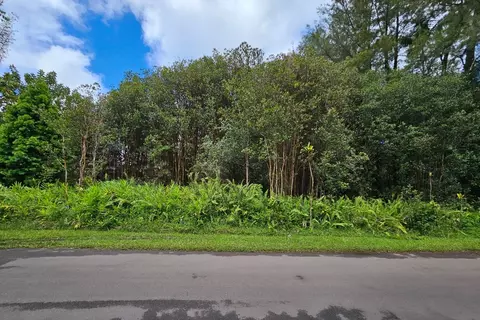 Plumeria St, Mountain View, HI 96771