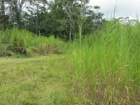 14-3547 Nanawale Blvd, Pahoa, HI 96778