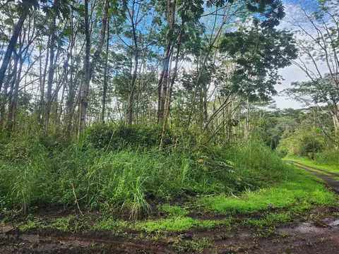 Molokai Rd, Pahoa, HI 96778