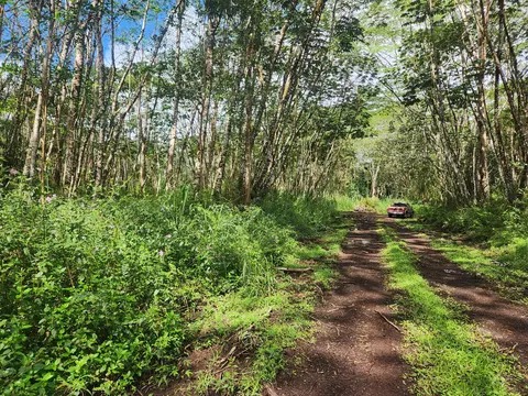 Molokai Rd, Pahoa, HI 96778