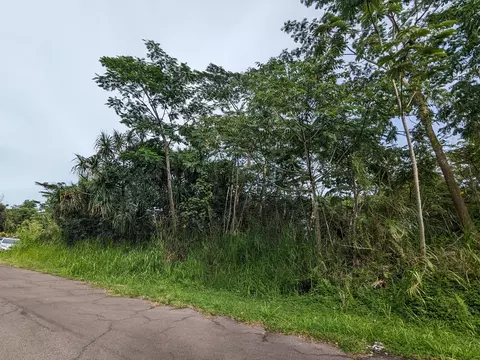 12-7065 Moaniala St, Pahoa, HI 96778