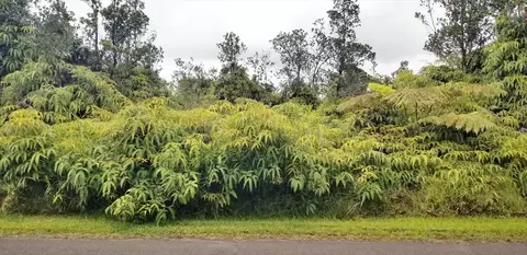 11-3122 Pa Alii St, Volcano, HI 96785