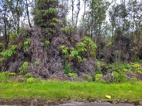 Mokuna St, Volcano, HI 96785