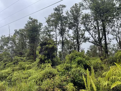64 Jungle King Ave, Volcano, HI 96785
