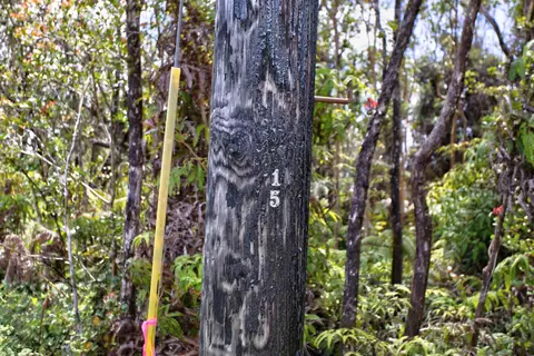 Alii Kane St, Volcano, HI 96785