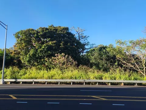 81-6242 Napoopoo Rd, Captain Cook, HI 96704