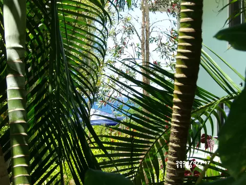 Kaehukai St, Pahoa, HI 96778