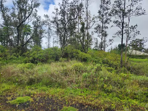 Coconut Dr, Pahoa, HI 96778