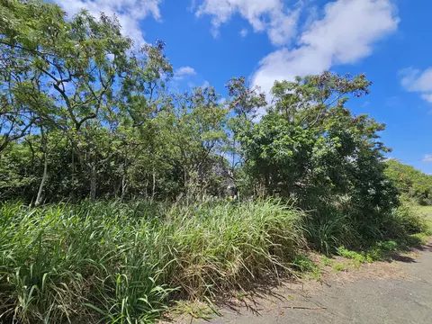 Puka St, Naalehu, HI 96772