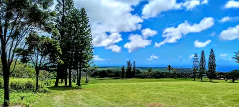 94-5780 Kilo Moana Pl, Naalehu, HI 96772