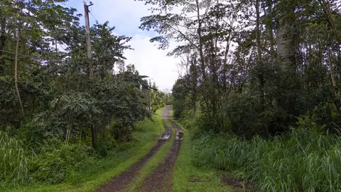 Alii Rd, Pahoa, HI 96778