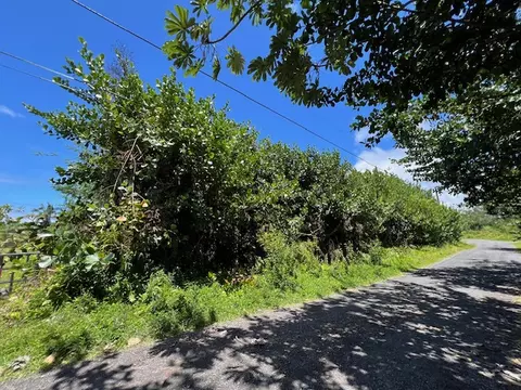 15-1081 Kilika Rd, Keaau, HI 96749