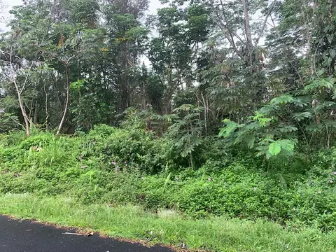 15-2682 Kawakawa St, Pahoa, HI 96778