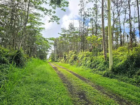 Pikake Rd, Pahoa, HI 96778