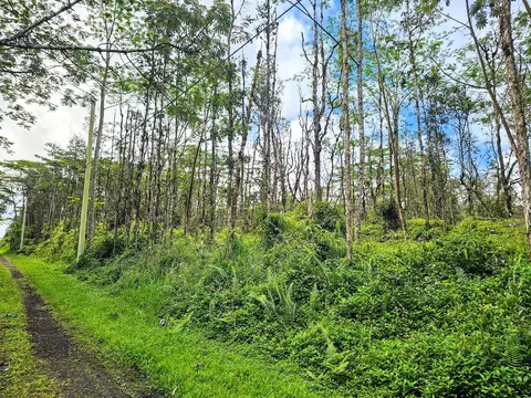 Pikake Rd, Pahoa, HI 96778
