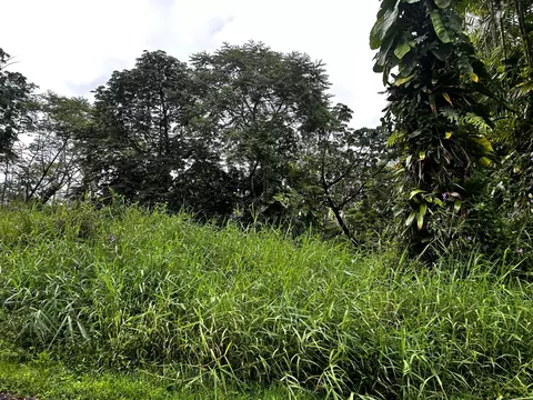 Kula St, Pahoa, HI 96778