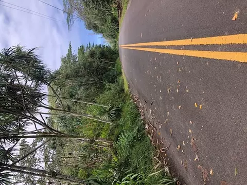 Puni Makai Loop, Pahoa, HI 96778