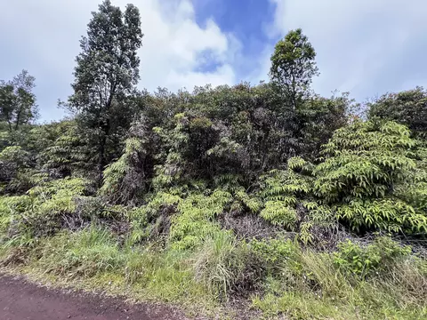 11-2783 Waimaka O Pele Rd, Mountain View, HI 96771