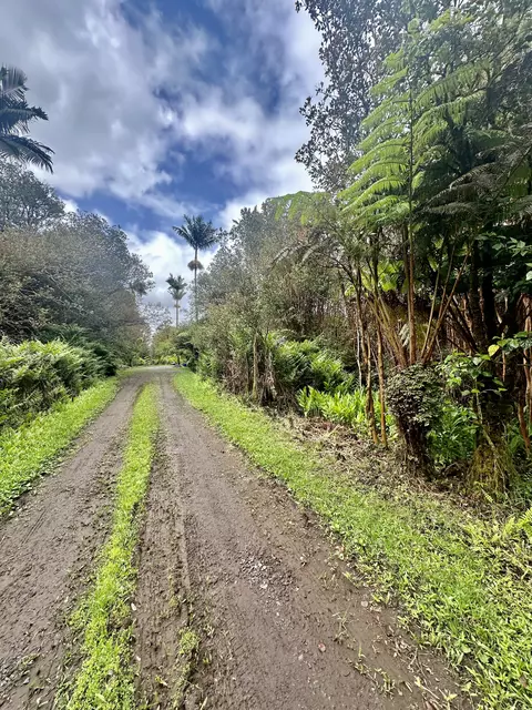 18-2011 Pomaikai St, Volcano, HI 96785