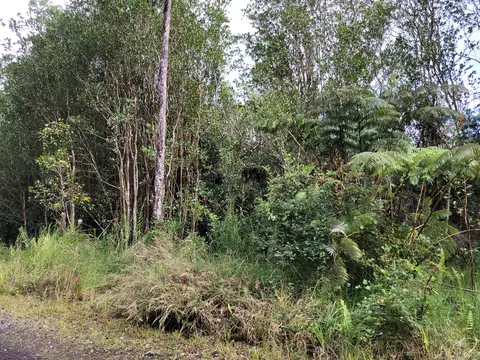 Road 9, Volcano, HI 96785