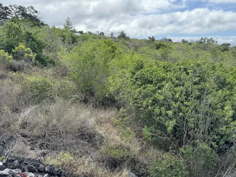 Alii Blvd, Ocean View, HI 96737