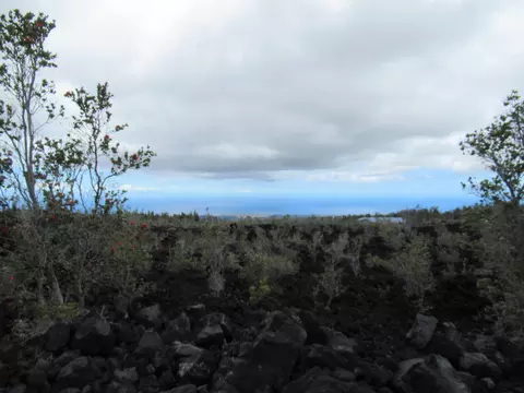 92-1843 Cocoanut Dr, Ocean View, HI 96737