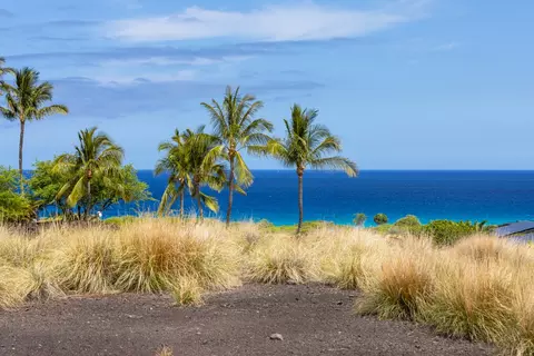 72-3211 Kapuahi Manini Pl, Kailua Kona, HI 96740