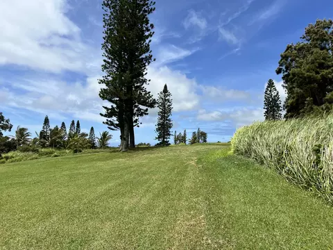 Kalakau St, Naalehu, HI 96772