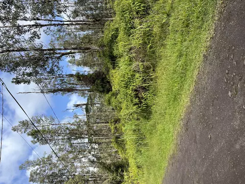 Oahu Rd, Pahoa, HI 96778