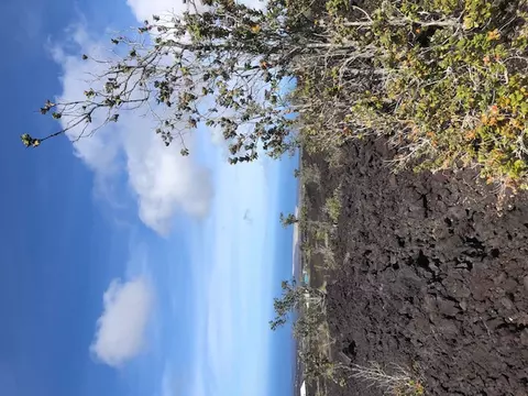 Lehua Ln, Ocean View, HI 96737