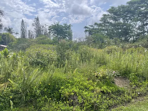 Silversword Dr, Pahoa, HI 96778
