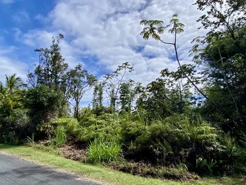 Kiawe Rd, Keaau, HI 96749