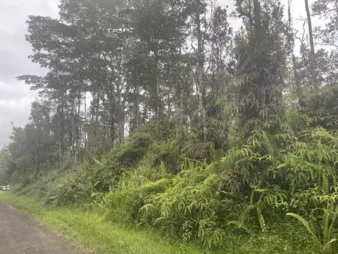 Ginger Rd, Pahoa, HI 96778
