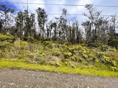 11-2819 Kahaualea Rd, Volcano, HI 96785